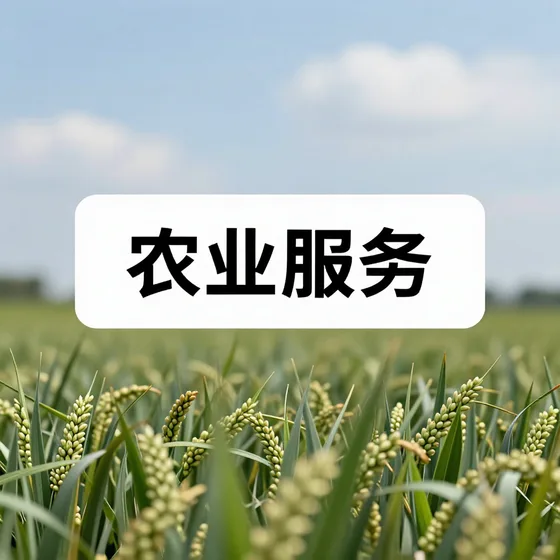 文化创意公司